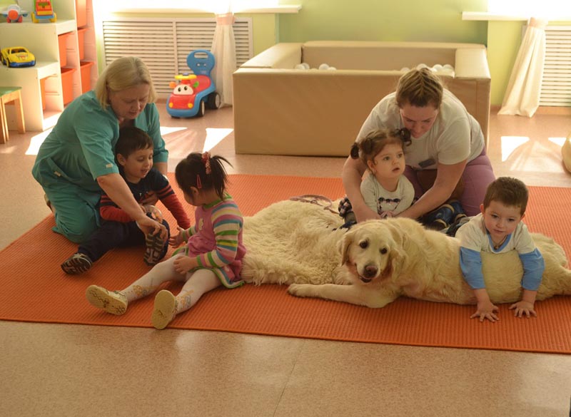 Собаки – одни из лучших помощников в реабилитации особенных детей