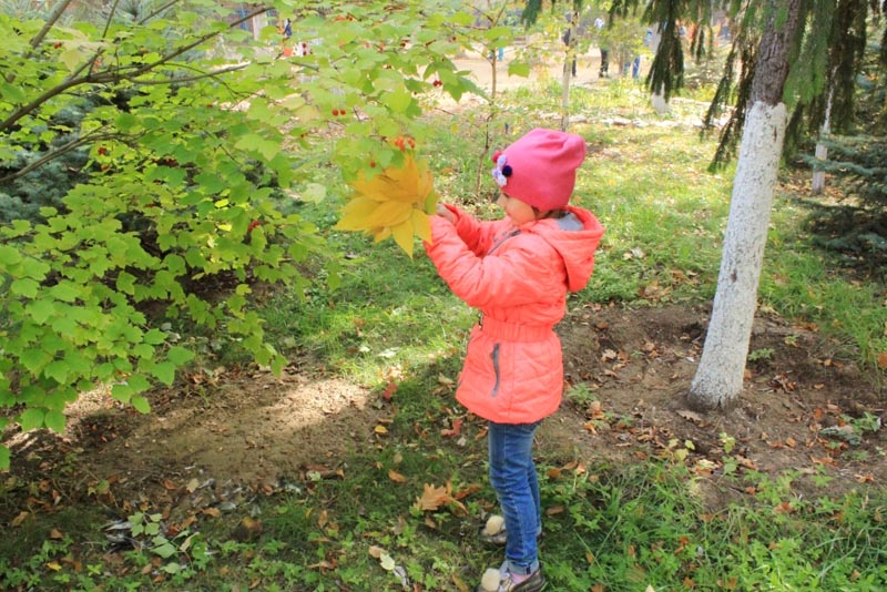 Осень – самое время для развития детей при помощи природных материалов